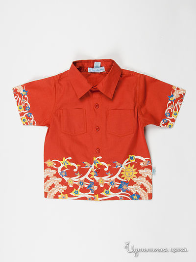 Рубашка VIDay Collection, цвет цвет терракотовый