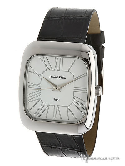 Часы Daniel Klein, цвет серебро / черный