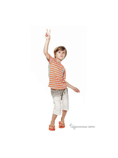 Футболка La Miniatura для мальчика, цвет оранжевый, серый