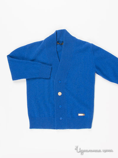 Кардиган Small Silk Shirt, цвет синий